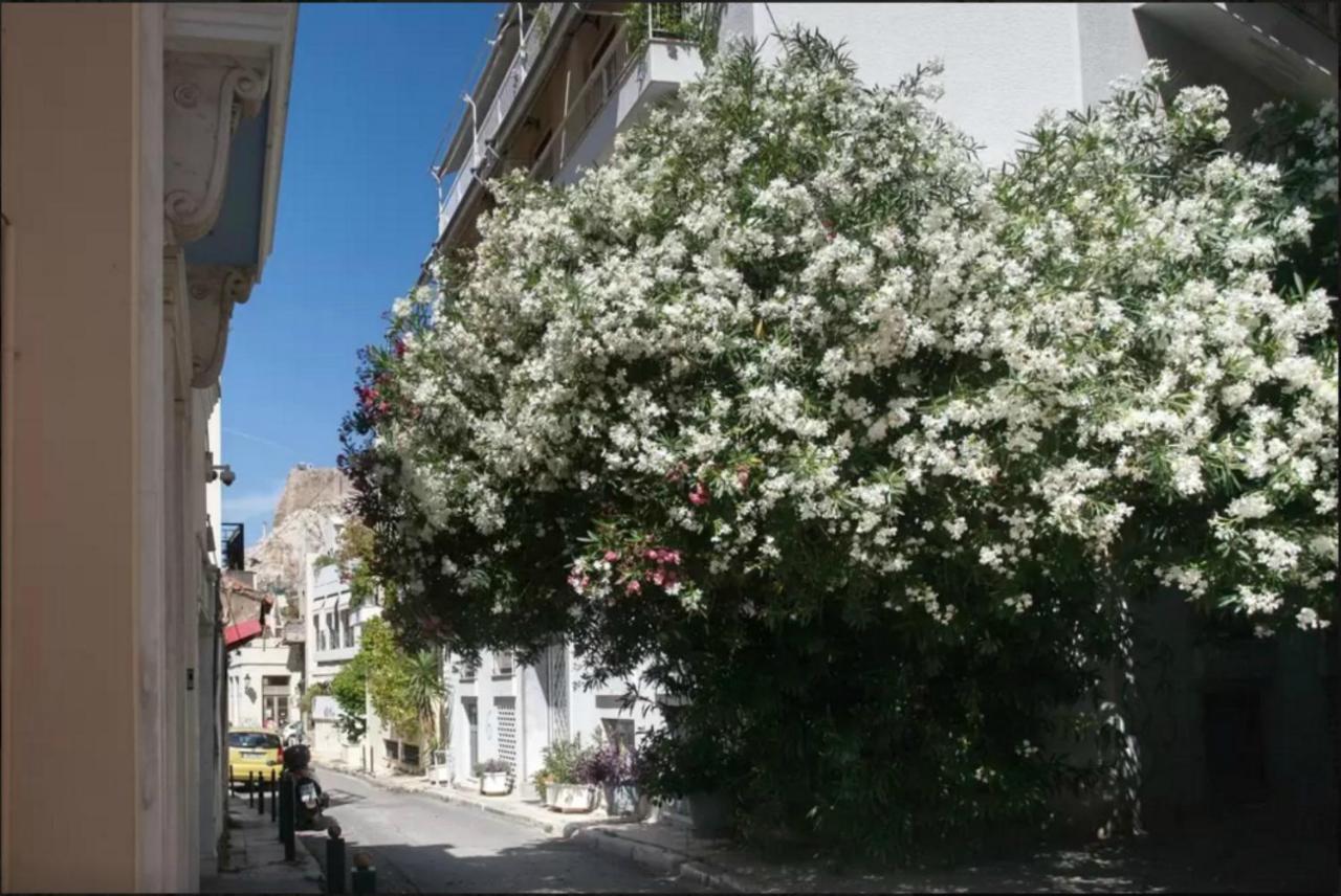 Апартаменти By The Acropolis, In The Heart Of Plaka! Афіни Екстер'єр фото